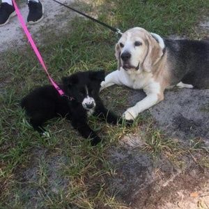 Meet your Posher, Jill